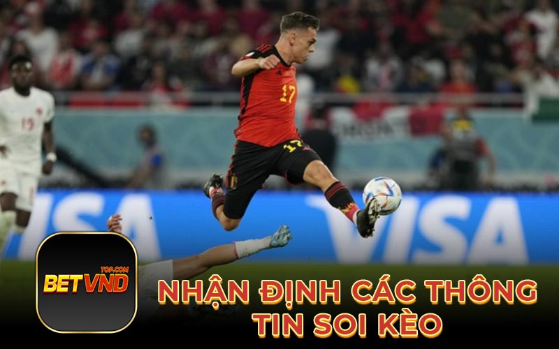 Nhận định các thông tin soi kèo