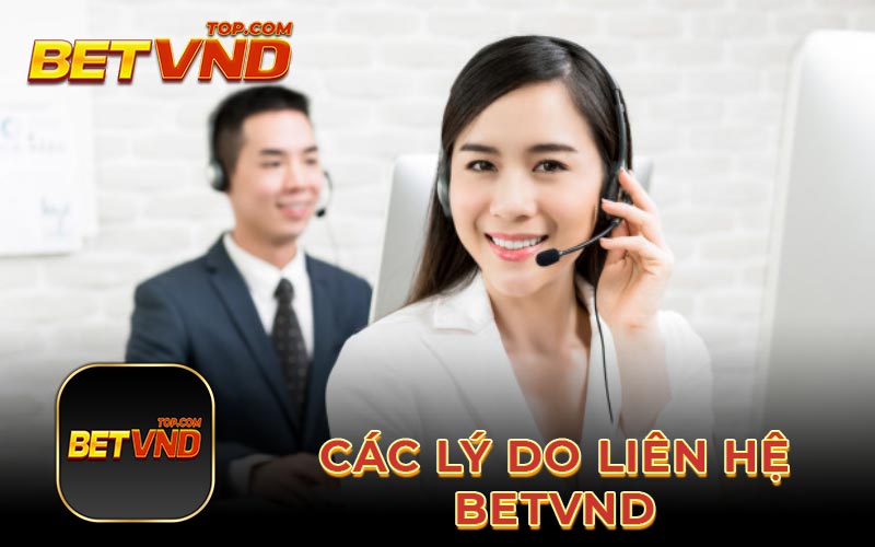 Các lý do liên hệ Betvnd