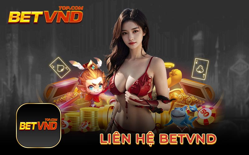 Liên hệ Betvnd