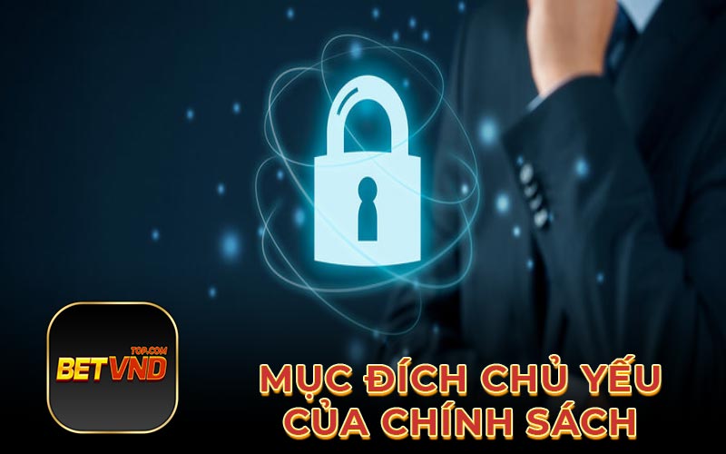 Mục đích chủ yếu của chính sách