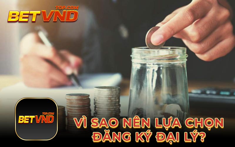 Vì sao nên lựa chọn đăng ký đại lý?